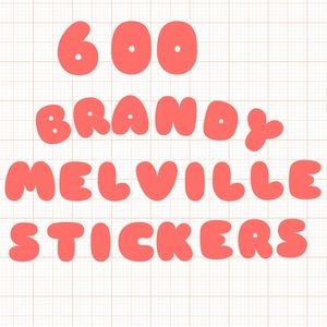 600 BRANDY MELVILLE STICKERS